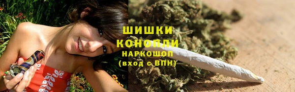 шишки Баксан