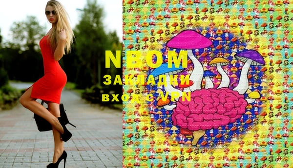 шишки Баксан