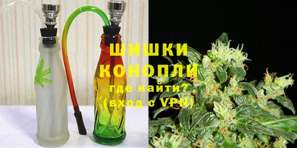 трава Осинники