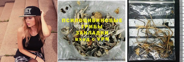 шишки Баксан