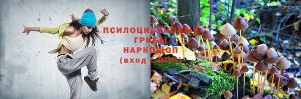 шишки Баксан