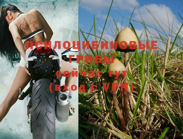 шишки Баксан