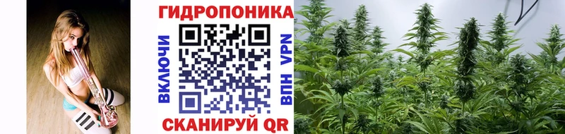 mega ССЫЛКА  Кувшиново  Бошки марихуана Amnesia 